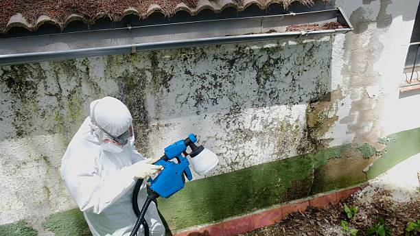 Trusted Crawl Space Mold Removal service in Yeagertown, PA - Cheap Mold Removal